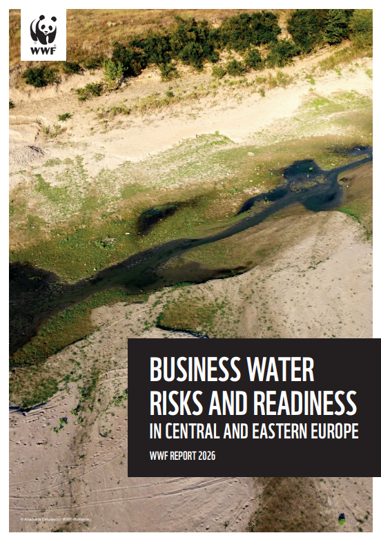 Business Water Risks & Readiness Report 2026
